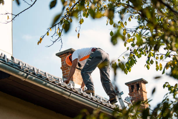 Best Roof Repair Services  in Mcdade, TX