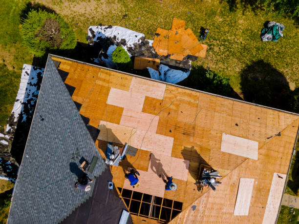 Best Metal Roofing Contractor  in Mcdade, TX