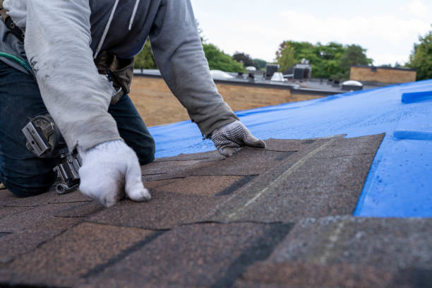 Roof Waterproofing Services in Mcdade, TX
